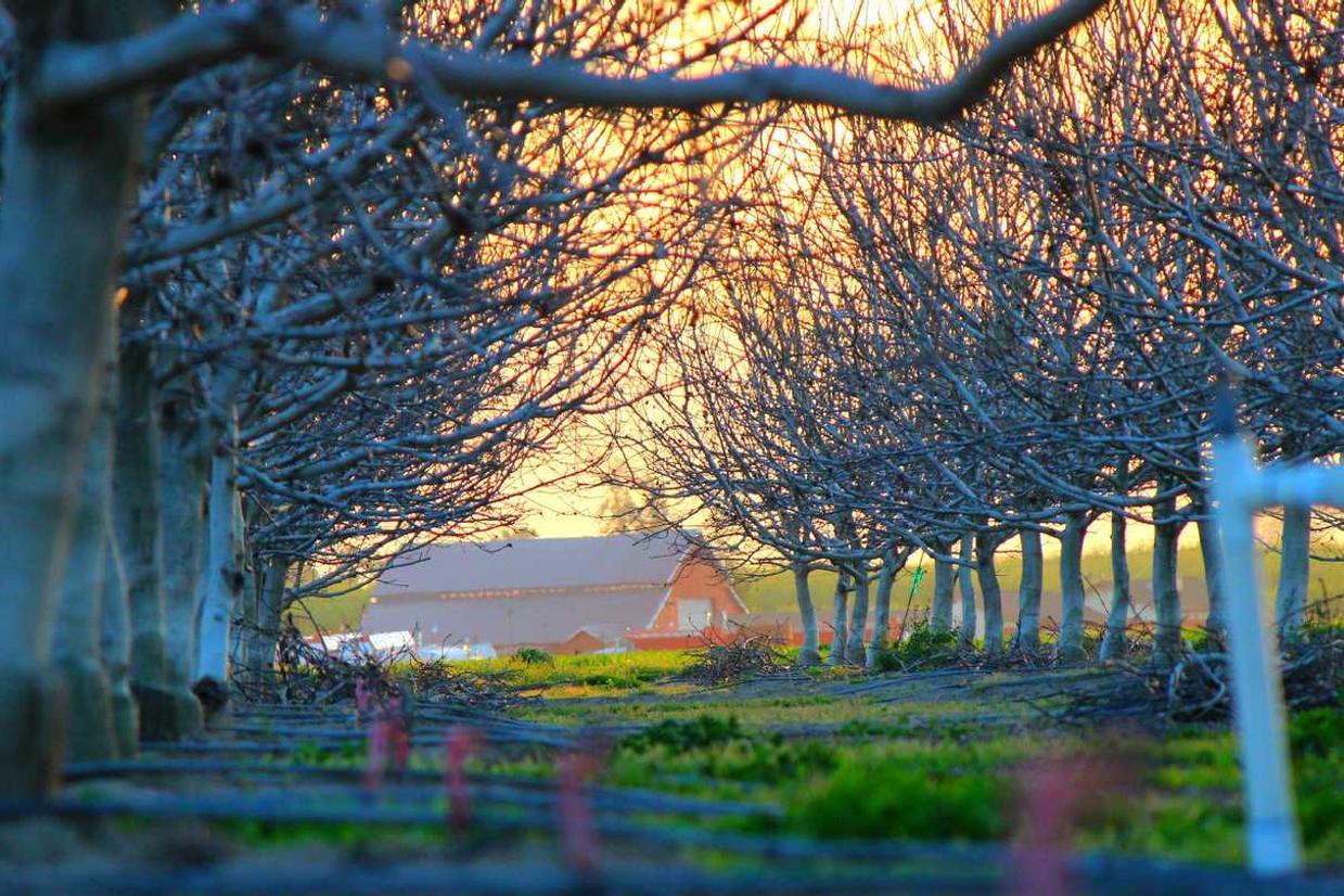 Autem maiores optio alias nihil cumque